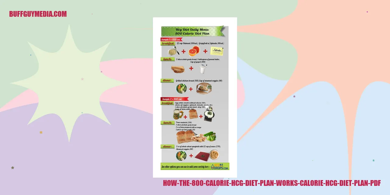 Understanding How the 800 Calorie HCG Diet Plan Works