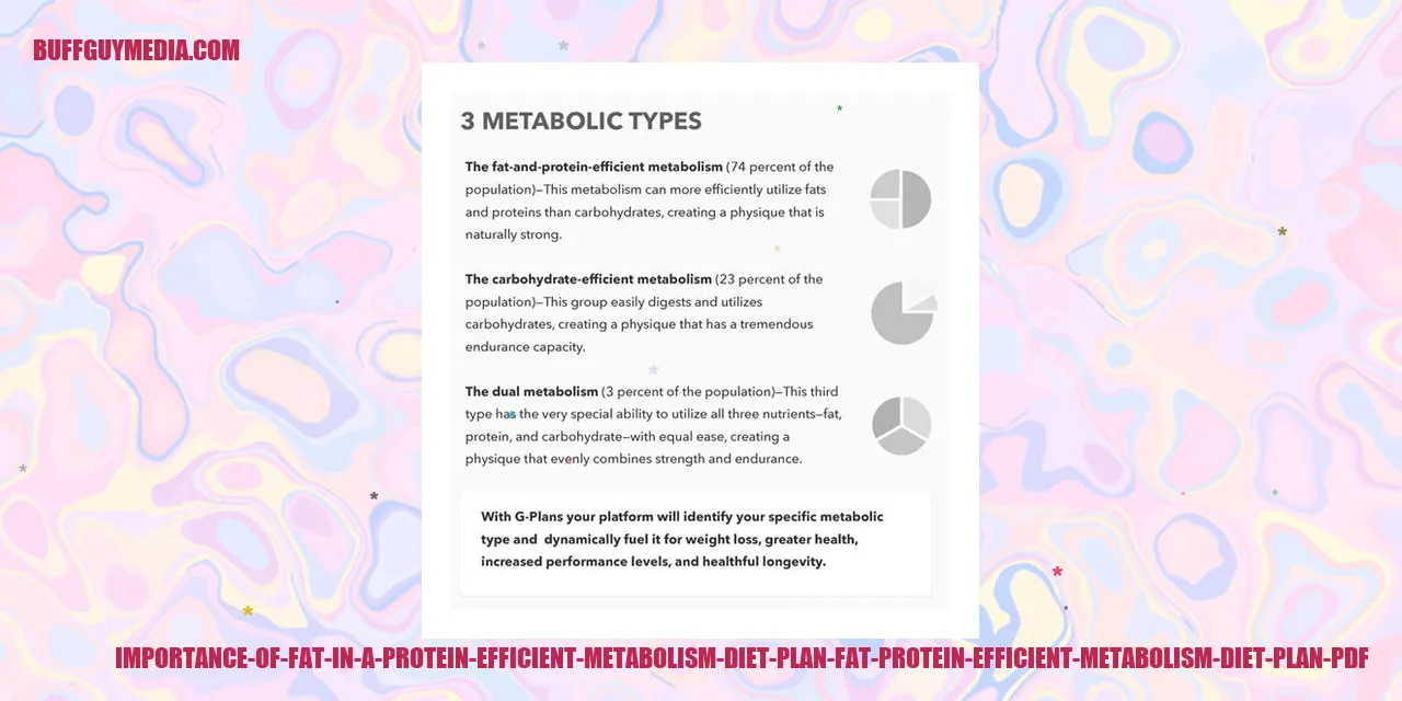 Illustration depicting the significance of fat in a protein efficient metabolism diet plan