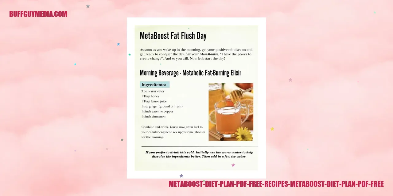 Metaboost Diet Plan PDF Free Recipes