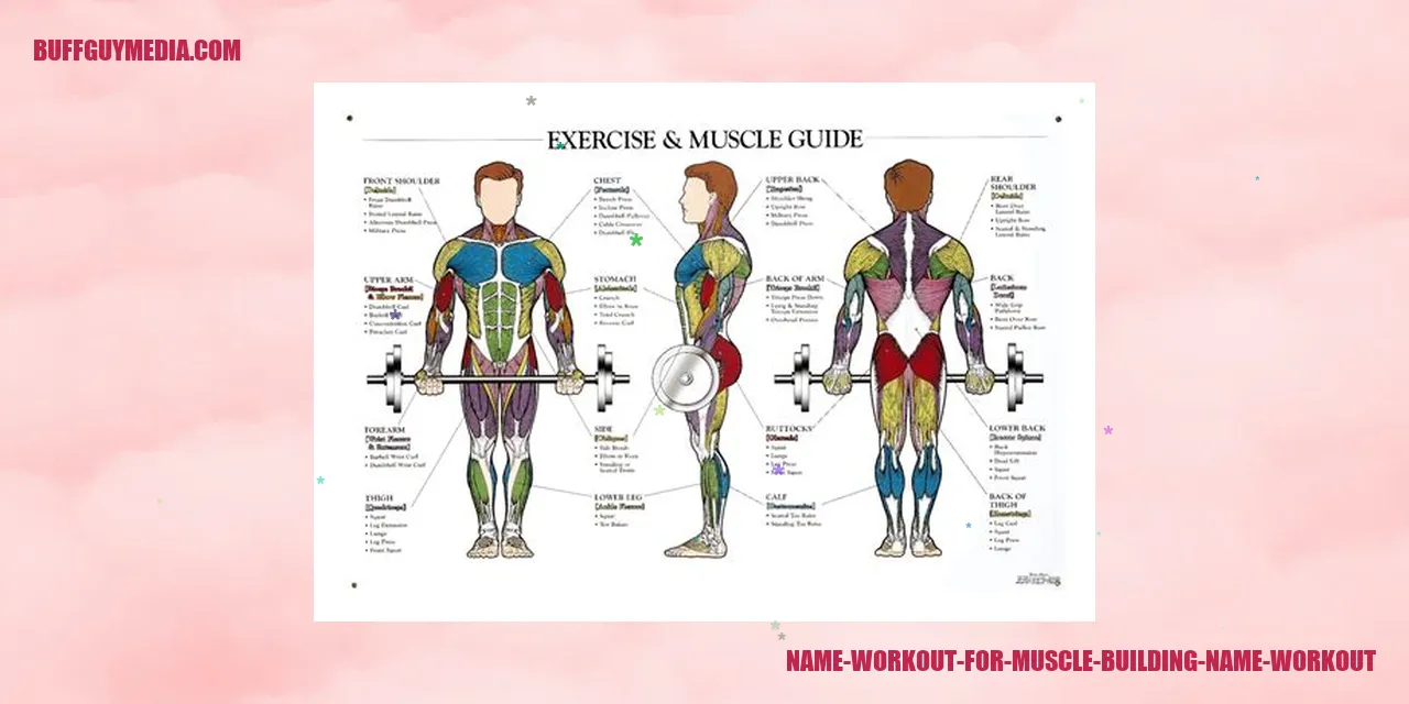 Name Workout for Muscle Building
