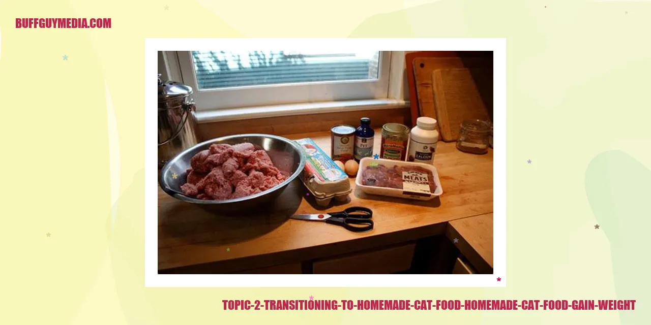 Transitioning to Homemade Cat Food