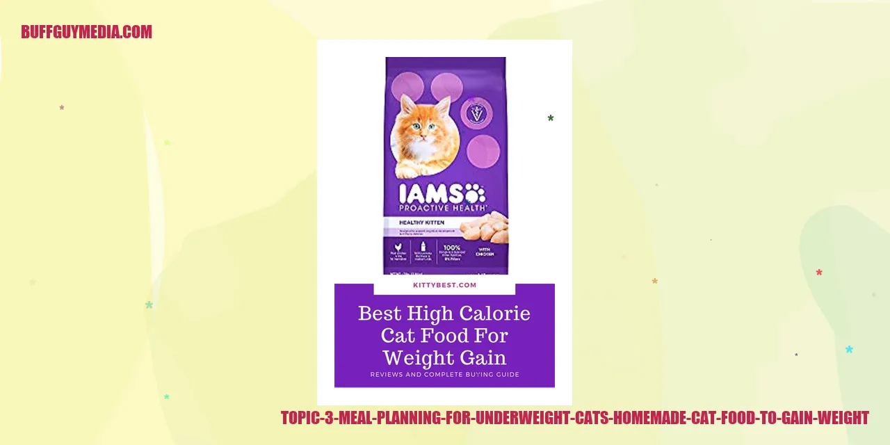 Meal Planning for Underweight Cats