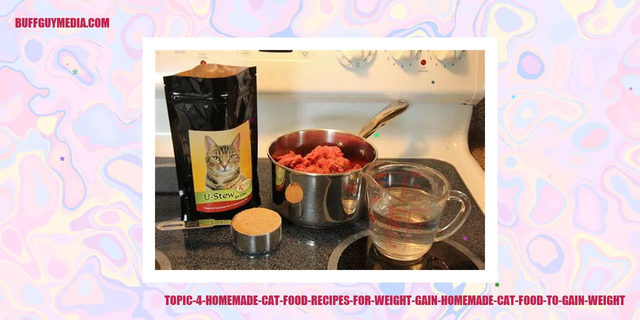 Topic 4: Homemade Cat Food Recipes for Weight Gain