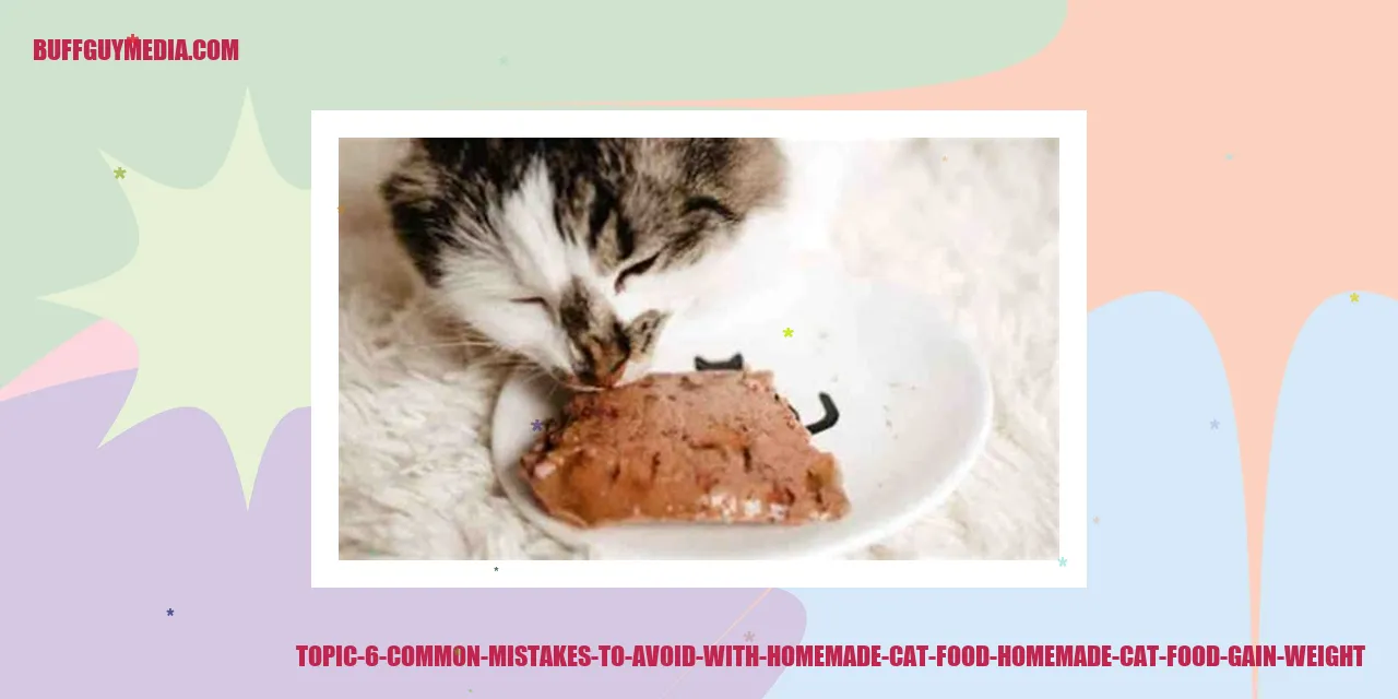 Common Mistakes to Avoid with Homemade Cat Food