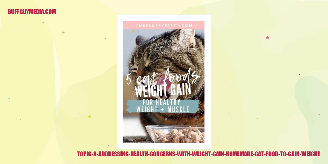 Addressing Health Concerns with Weight Gain - Homemade Cat Food to Gain Weight