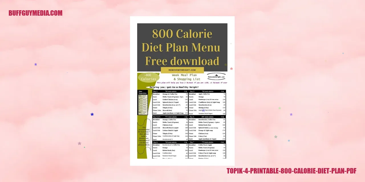 Topik 4 Printable 800 Calorie Diet Plan PDF