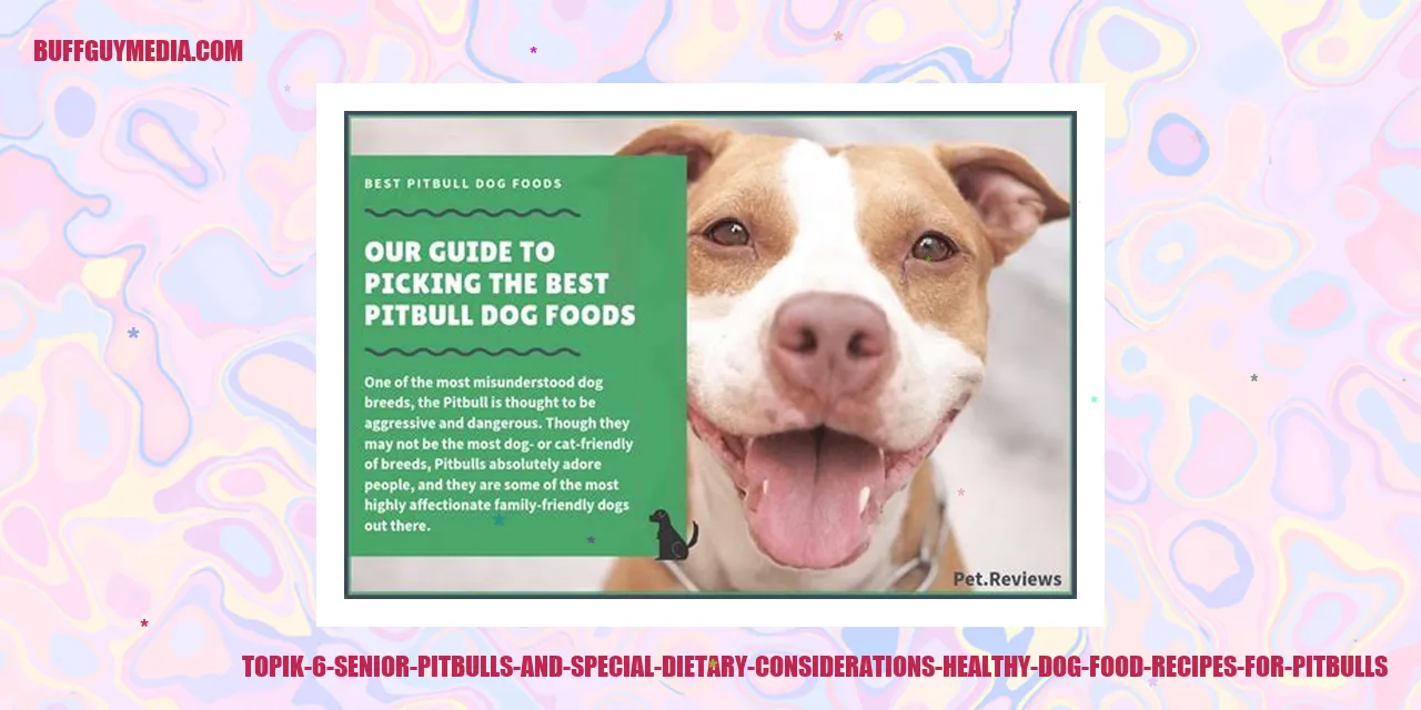 Elderly Pitbulls and Special Dietary Considerations